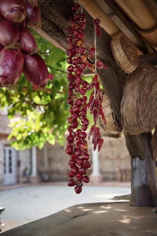 Le PioppeDon Carlo Agriturismo Di Charme Bio别墅 外观 照片