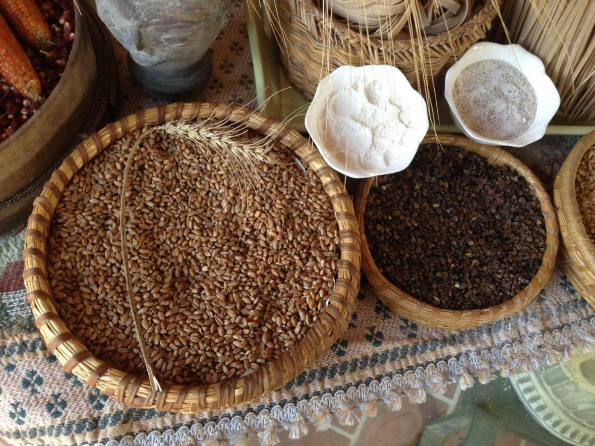 Le PioppeDon Carlo Agriturismo Di Charme Bio别墅 外观 照片