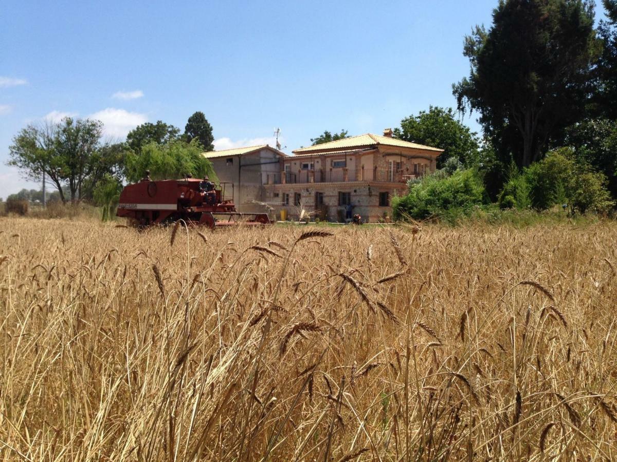 Le PioppeDon Carlo Agriturismo Di Charme Bio别墅 外观 照片