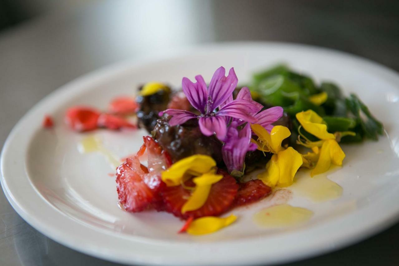 Le PioppeDon Carlo Agriturismo Di Charme Bio别墅 外观 照片